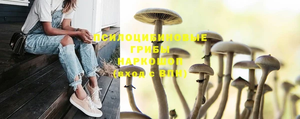 молекула духа Нягань