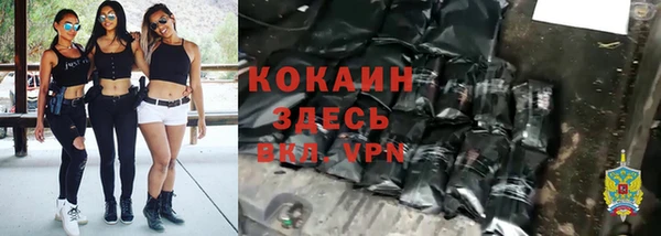 молекула духа Нягань