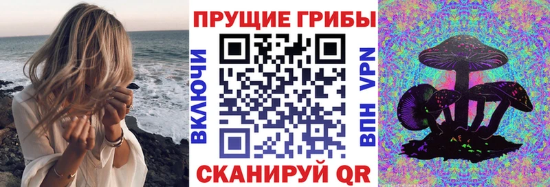 Псилоцибиновые грибы Psilocybe  Купить  Комсомольск 
